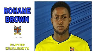 Rohane Brown  STETHS  Player Football Highlights 2022 [upl. by Abbate]