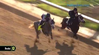 Destin works on Friday April 29 at Churchill Downs [upl. by Zeuqcaj]