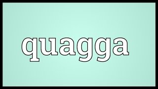 Quagga Meaning [upl. by Alcock821]