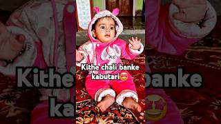 Kithe chalice tu banke kabutari😀little cute babyclips [upl. by Margaretha]