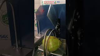 Indias Most Advanced Coconut Cutting Machine [upl. by Lairea]