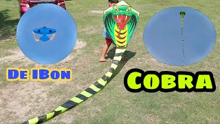 Cobra at De Ibon na Saranggola Palipad ng Guryon Papagayo Bulador Kites Layangan [upl. by Soirtemed]