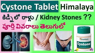 Cystone tablet in Telugu full review  Composition Uses Working Dosage Side effects [upl. by Sidonius]