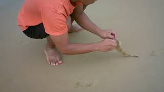 Junreil Discovers Fishing At Ettalong Beach [upl. by Nnalyrehc]