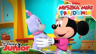 🐕 Nowy szczeniaczek Minnie  Myszka Miki Frajdomek  Disney Junior Polska [upl. by Schwartz]