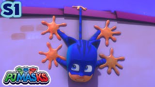 Looking After Gekko  PJ Masks S1 E19  Cartoon for kids [upl. by Eseila]