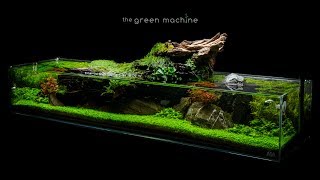 Aquascape Tutorial Simplicity by James Findley  how to create a planted tank [upl. by Enrica]