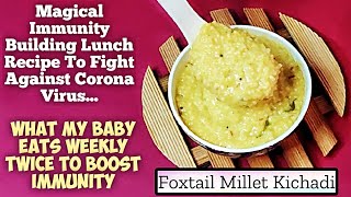 Immunity Boosting Food ThinaiKangniKorra NavaneFoxtail Millet KichadiMillet Recipes for babies [upl. by Constancy]