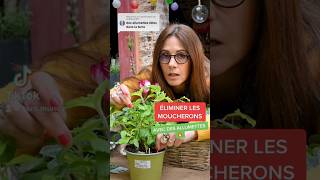 ÉLIMINER LES MOUCHERONS AVEC DES ALLUMETTES 😳🌱 diy jardin astuces [upl. by Garwood]