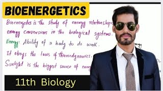 Introduction to Bioenergetics  11th Biology [upl. by Pucida220]