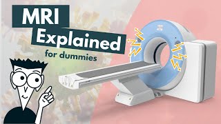 How does an MRI work  MRI basics explained  Animation [upl. by Emmie]