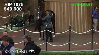 Keeneland Live Feed [upl. by Alden]