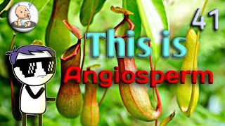 ANGIOSPERM  ANGIOSPERM IN HINDI  ANGIOSPERM AND GYMNOSPERM [upl. by Ulrike]