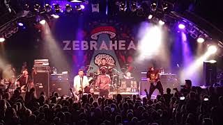 Zebrahead  All My Friends Are Nobodies Live in Hamburg Markthalle 17092019 [upl. by Sharron]