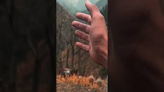 Kasol😌……shortsvideo [upl. by Wendt]