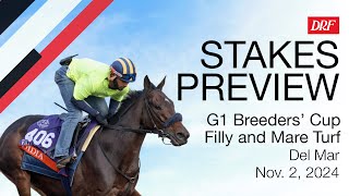 Grade 1 Breeders Cup Filly and Mare Turf Preview  November 2 2024 [upl. by Eynobe582]