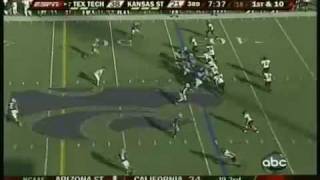 WR Michael Crabtree Highlights Texas Tech 2008 [upl. by Saticilef]