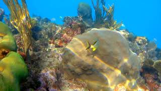 Snorkeling Jibacoa Cuba [upl. by Seftton]