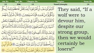 Holy Quran Page 236  Yusuf 514  Recitation amp English Translation Per Page [upl. by Lenoel]