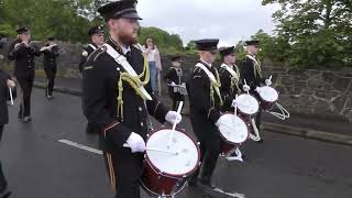 Ardinariff  Full Clip  Drumrane Orange Parade 2024 [upl. by Bascio]