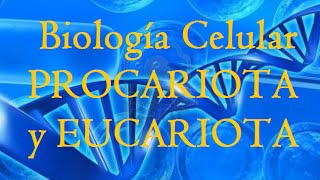 BIOLOGÍA  PROCARIOTA y EUCARIOTA  MICROSCOPIO [upl. by Gwyn797]