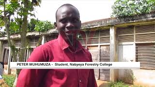 Most structures at Nyabyeya college are in sorry state [upl. by Nate]