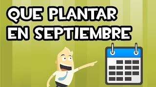 Que SEMBRAR o PLANTAR en SEPTIEMBRE  Calendario de Siembra [upl. by Nosyrb]