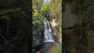 Bushkill Falls was amazing 😍 falls hills newyork water shorts reels waterfall trekking [upl. by Annaili]