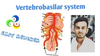 VERTEBROBASILAR SYSTEM [upl. by Columba788]