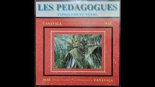 LES PEDAGOGUES  Belle doudou 🪘🎹🎸🎺🎼🎧 [upl. by Lesya]