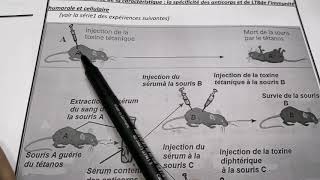 SVT 3AS Col chapitre 6 les caractéristiques de limmunité spécifique humorale et cellulaire [upl. by Convery]