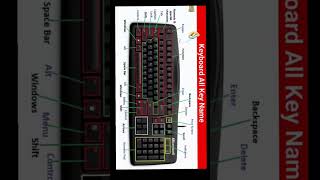 Keyboard all key name facts shorts motivation [upl. by Dorlisa]