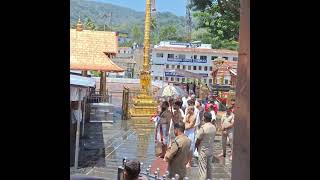 Sabarimala utsavam ayyappa i had an golden opportunity 💕⭐️ To participate with in this uthsava ❤️ [upl. by Nagel]