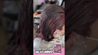 Bigen Speedy Hair Color 855 Burgundy Brown [upl. by Ennaillij]