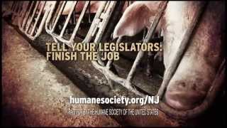 Ban Gestation Crates HSUS TV Ad in New Jersey [upl. by Jeffrey]