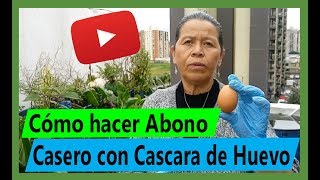 Cómo hacer fertilizante casero RÁPIDO para plantas con Cáscara de Huevo [upl. by Goar]