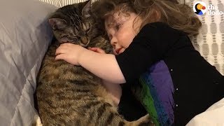 Cat and Little Girl Best Friends Have The Most Special Relationships  The Dodo [upl. by Ranit]