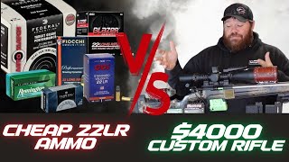 Cheap 22LR Ammo VS 4000 Custom Rifle [upl. by Stein]