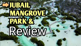 Jubail mangrove park and Review 2024 [upl. by Paynter]