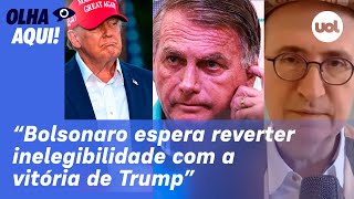 Reinaldo Bolsonaro espera reverter inelegibilidade com vitória de Trump [upl. by Mittel786]