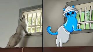 Cat Memes Release your Smurf cat 😹 New Funniest Animals 2023😂 [upl. by Giliana]