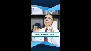 Safra çamuru nedir  Prof Dr Gürkan Yetkin  safraçamuru [upl. by Urbas]