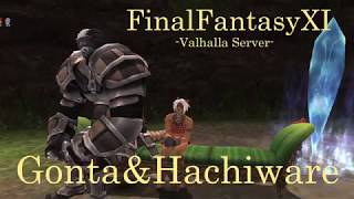 《FF11valhalla》FinalFantasyXIValhalla FFXIV風アドオンReshadeHunt System2垢 [upl. by Retrak]