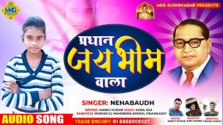 नेहा बौद्ध का New भीम SONG।। जय भीम बोले वाला।। प्रधान चुनल जाई ।। MkG KUSHINAGAR।। 2021 [upl. by Nowd272]