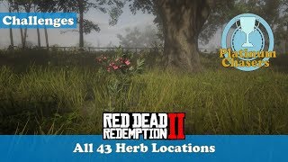 All 43 Herb Locations Herbalist Challenge 9  Red Dead Redemeption 2 [upl. by Llehsar]