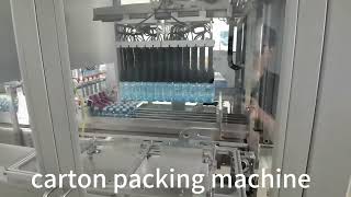 Bottle water carton packing machine [upl. by Itsyrk116]