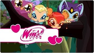 Winx Club  Sezon 3 Bölüm 20  Pixiler İş Başında klip1 [upl. by Wylma]