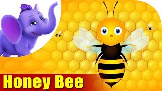 Honey Bee  A Bug Song  4K  Appu Series [upl. by Leiand]