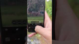 test camera tele Xperia 5 iii sony xperia videoshort videography videoproduct videoreview [upl. by Mycah]