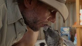 Brolga bonds with baby kangaroos  Kangaroo Dundee Episode 1 Preview  BBC Two [upl. by Zuleika]